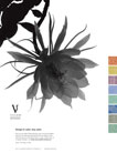 vycon advertising from 2006