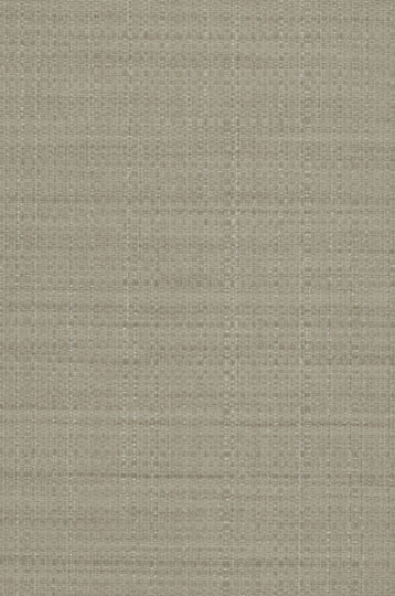 Y46579