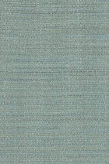 Y46581