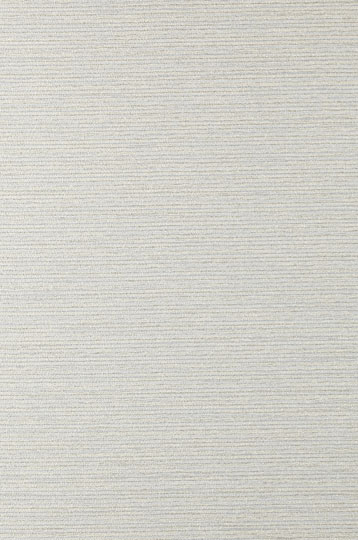 Y46636