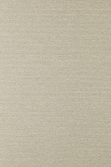 Y46645