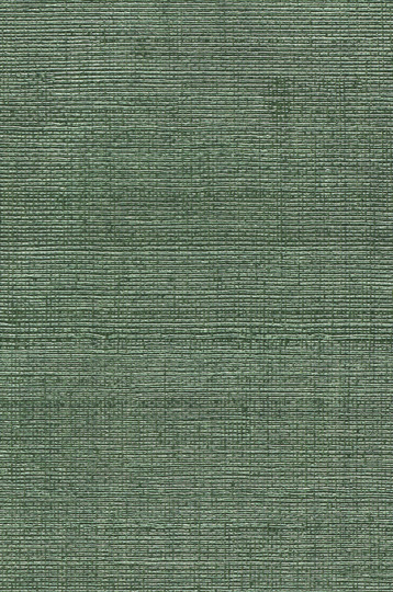 Y47419