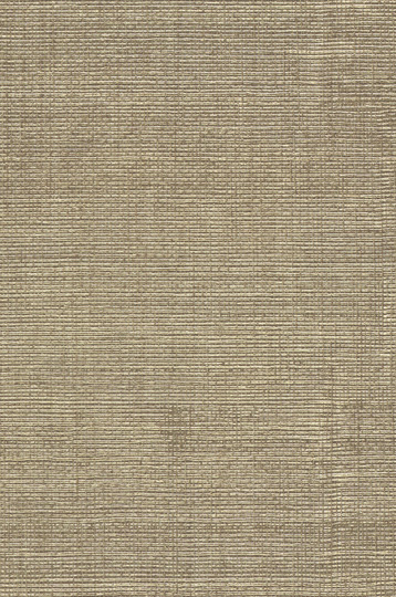 Y47421