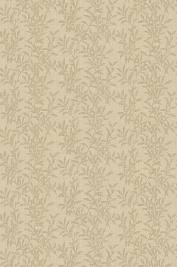 Y48420