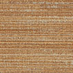 Y46493 thumbnail
