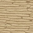 Y46855 thumbnail