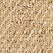 Y46970 thumbnail